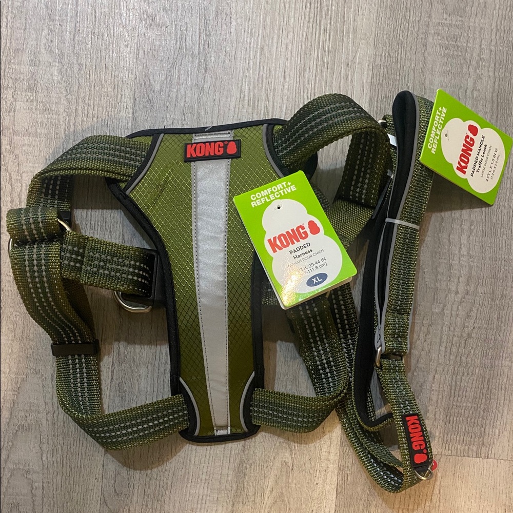 KONG padded harness and leash